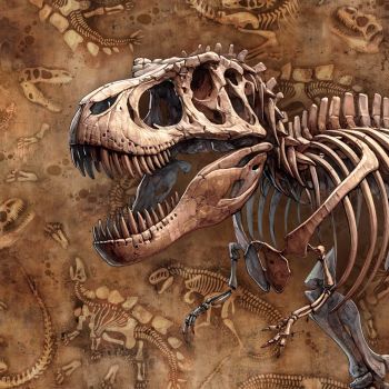 - Kopie - Kopie - Kopie - Kopie - Kopie - Kopie